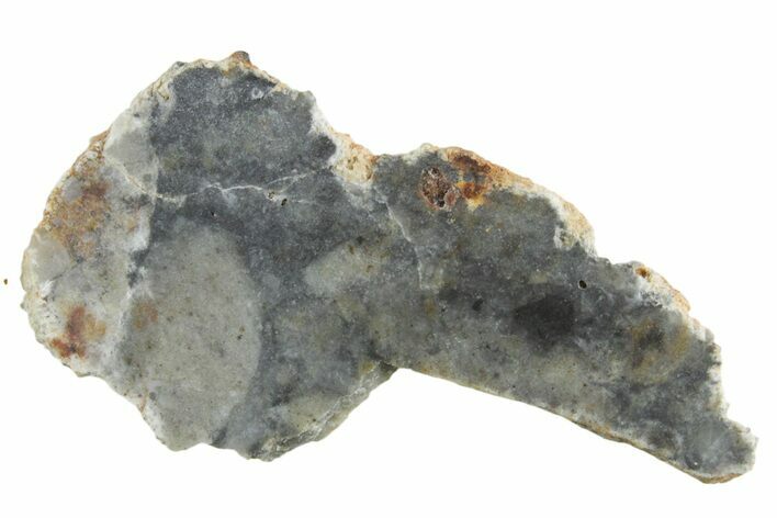 Lunar Meteorite ( g) Slice - Bechar #348186